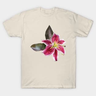 Lilies - One Stargazer Lily T-Shirt